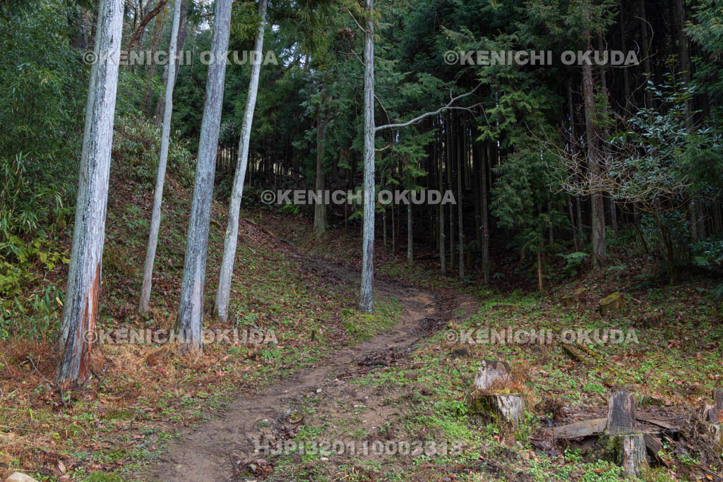 奈良県　宇陀松山城　本丸登城口