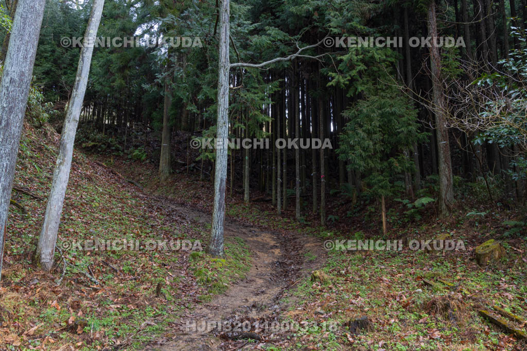 奈良県　宇陀松山城　本丸登城口