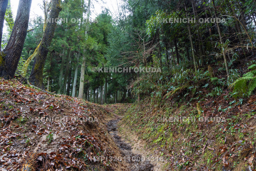 奈良県　宇陀松山城　本丸登城口