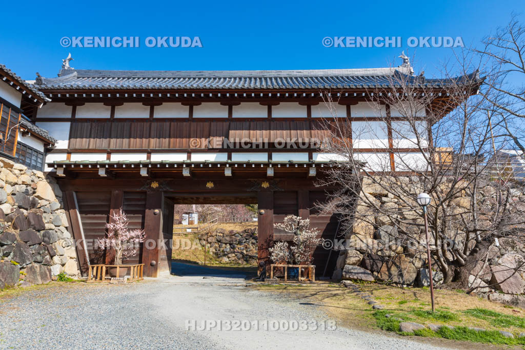 奈良県　大和郡山城　梅と追手門
