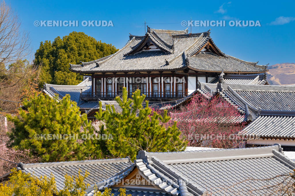 奈良県　梅の大和郡山城　城址会館（旧奈良県立図書館）