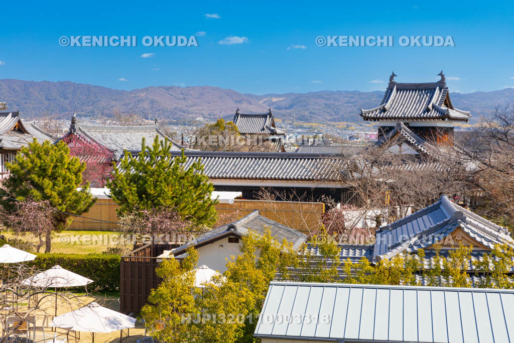 奈良県　梅の大和郡山城