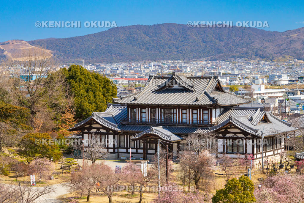 奈良県　梅の大和郡山城　城址会館（旧奈良県立図書館）