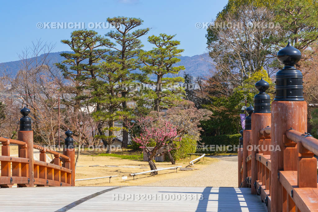 奈良県　大和郡山城　梅と極楽橋
