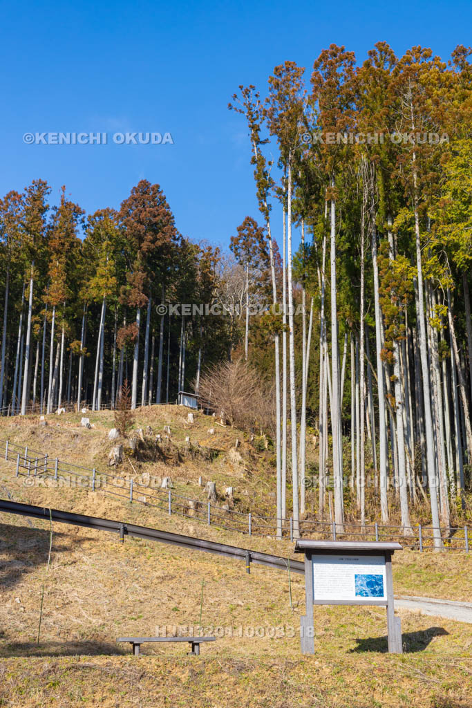 奈良県　宇陀松山城　本丸登城口