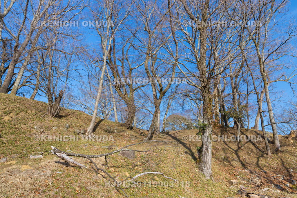 奈良県　宇陀松山城　桝形虎口跡（櫓門跡）付近から望む本丸