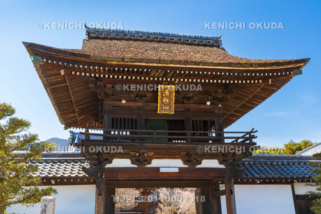 奈良県　宇陀松山城下町　光明寺　山門