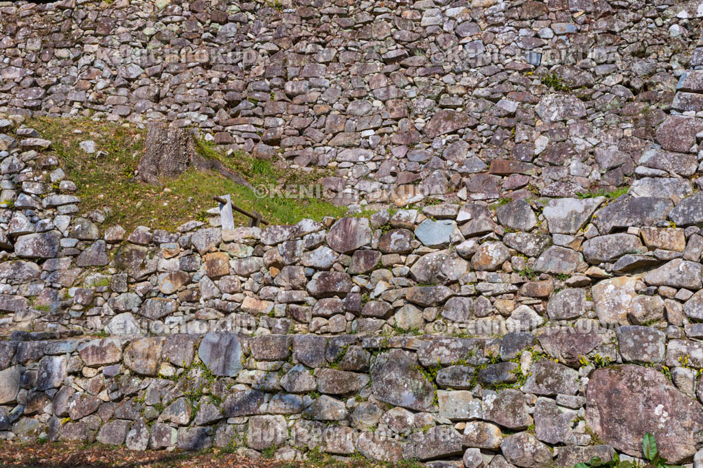 滋賀県　安土城址　伝羽柴秀吉邸跡（下段）から望む石垣