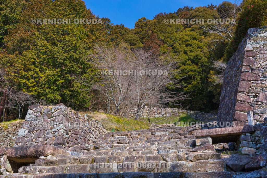 滋賀県　安土城址　大手道