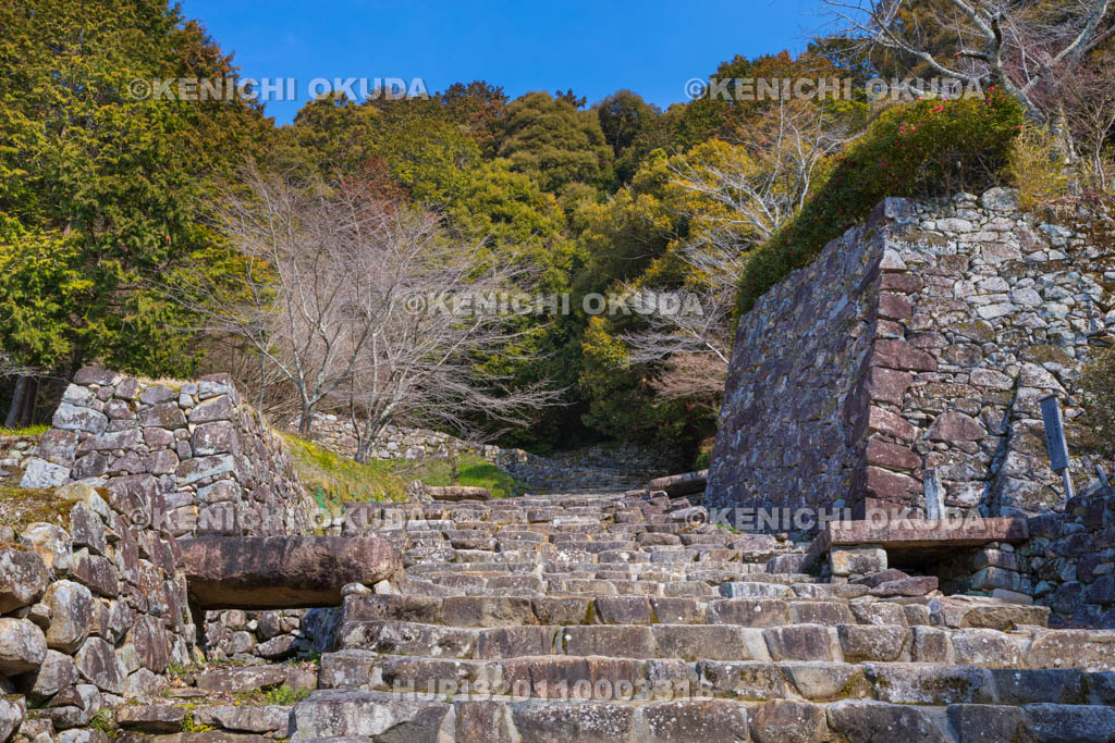 滋賀県　安土城址　大手道