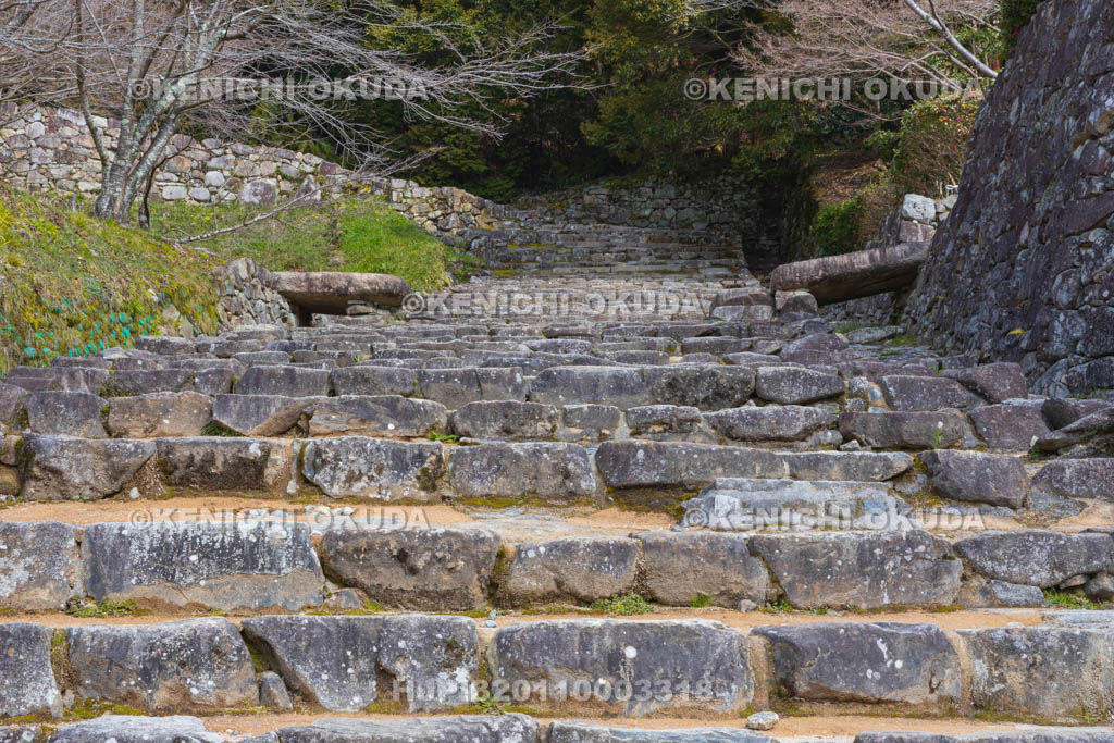 滋賀県　安土城址　大手道