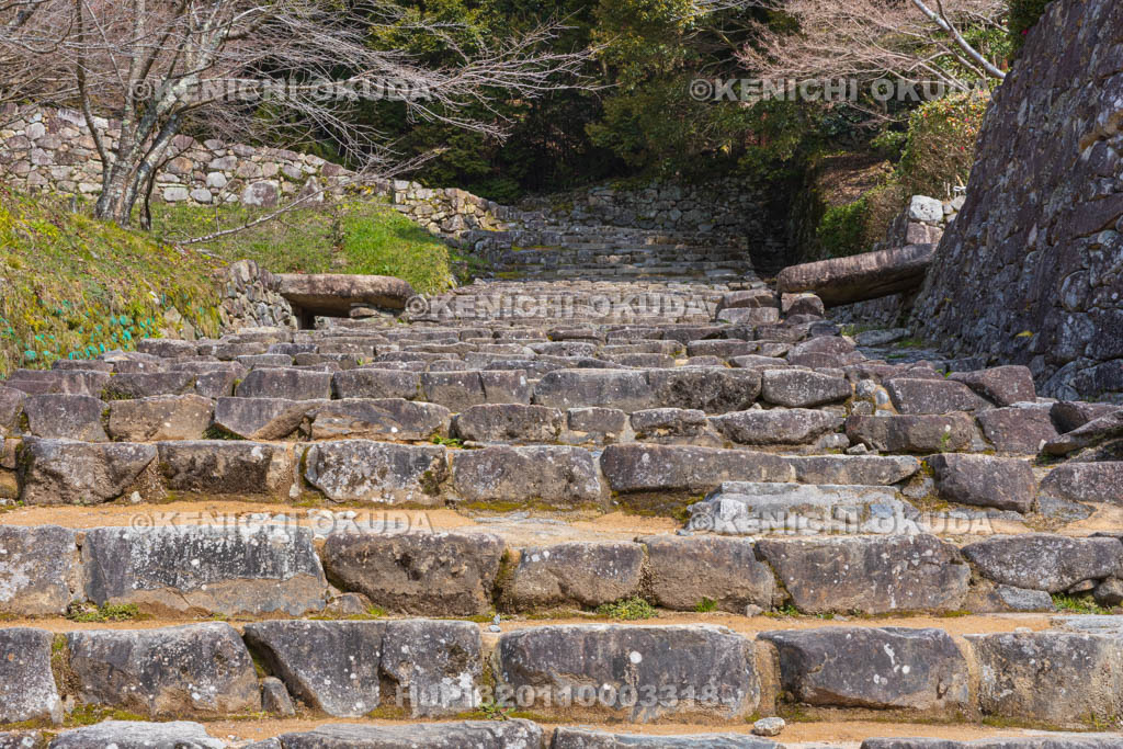 滋賀県　安土城址　大手道