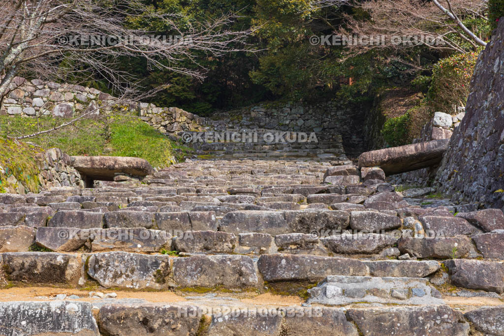 滋賀県　安土城址　大手道