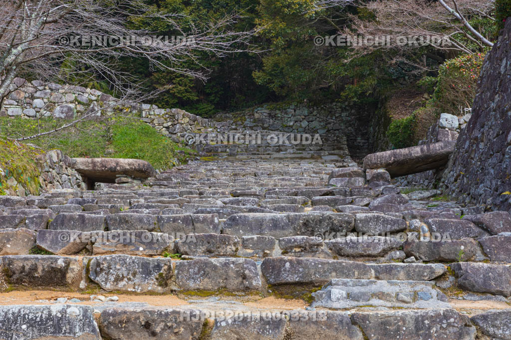 滋賀県　安土城址　大手道