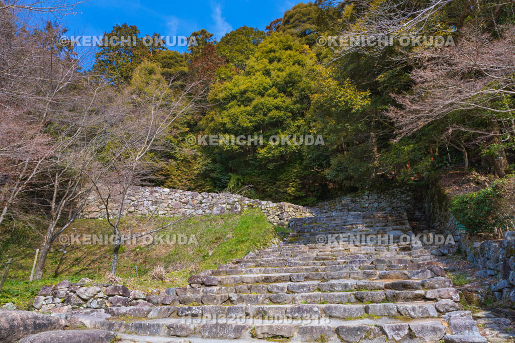 滋賀県　安土城址　大手道