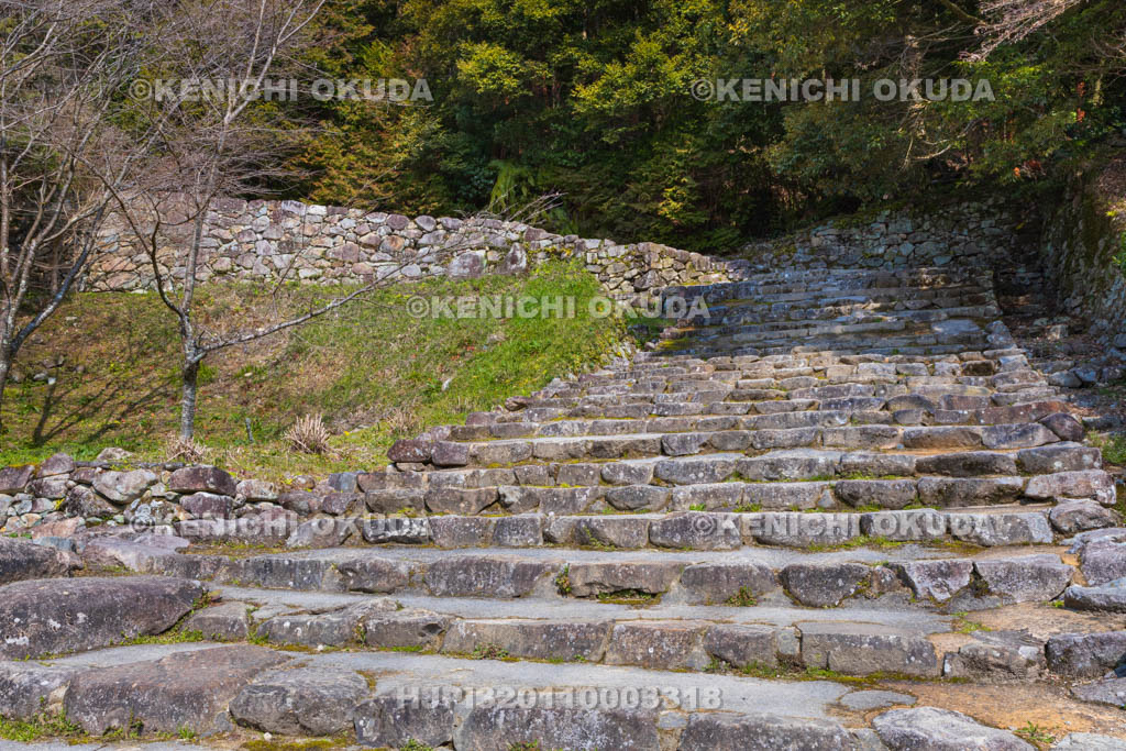 滋賀県　安土城址　大手道