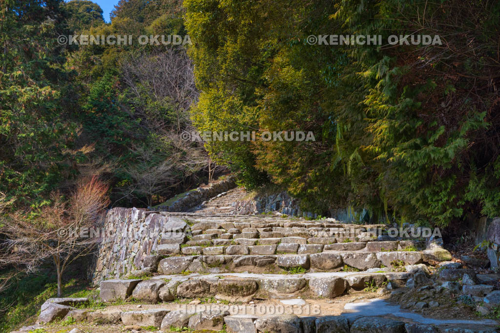 滋賀県　安土城址　大手道（ジグザグ石段）