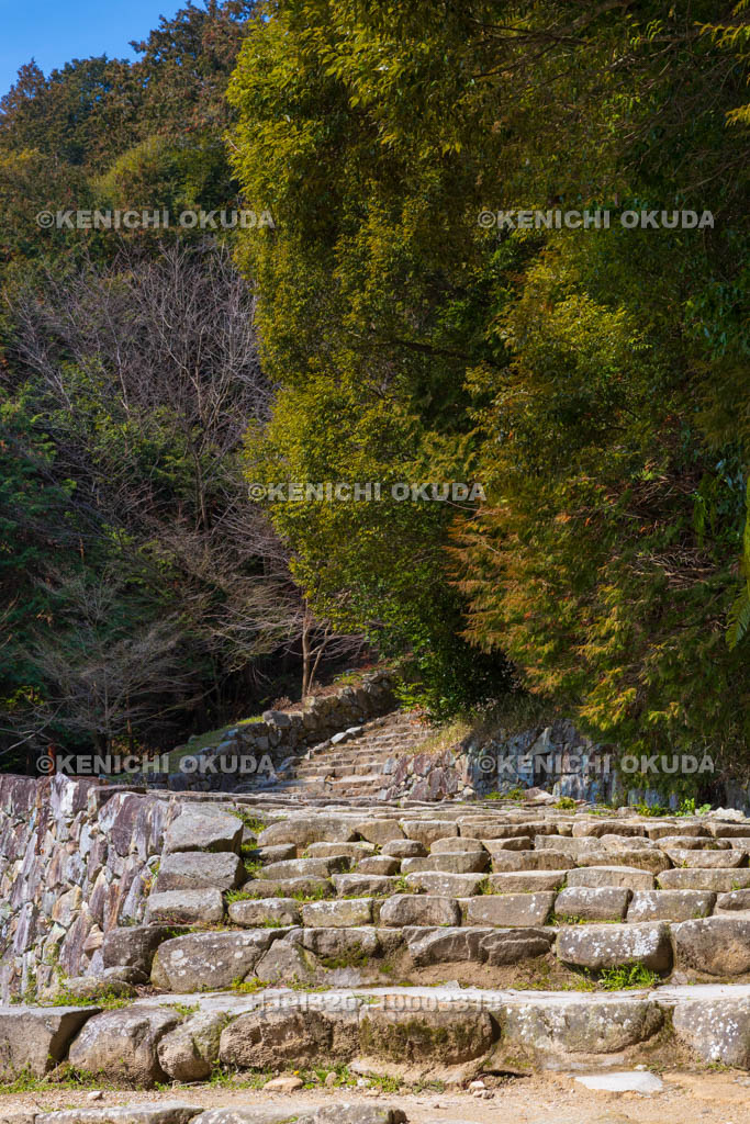 滋賀県　安土城址　大手道（ジグザグ石段）