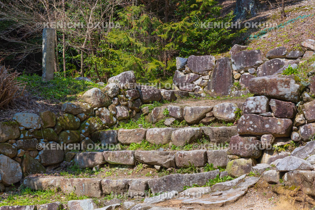 滋賀県　安土城址　大手道