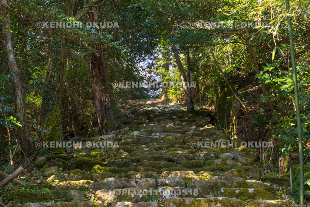 滋賀県　観音寺城跡　大手石階段