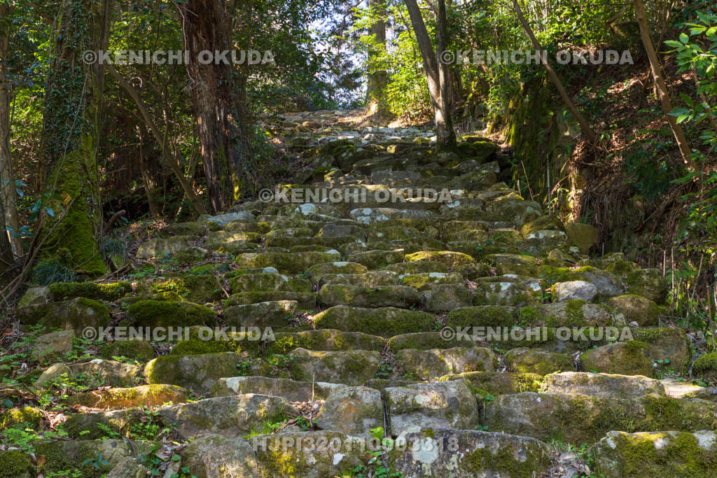 滋賀県　観音寺城跡　大手石階段