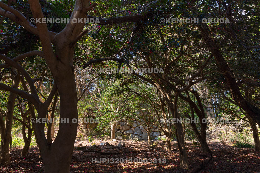 滋賀県　観音寺城跡　本丸跡