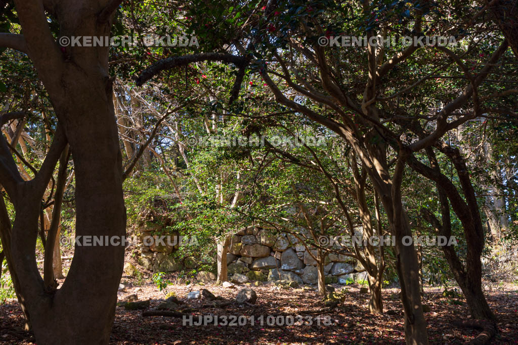 滋賀県　観音寺城跡　本丸跡