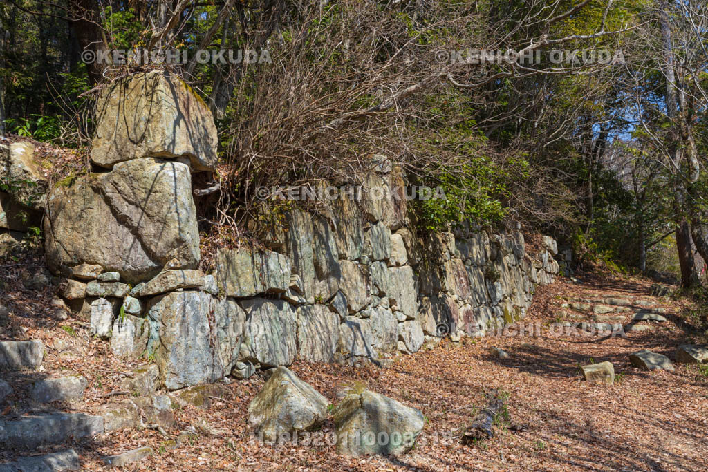 滋賀県　観音寺城跡　平井丸の石垣