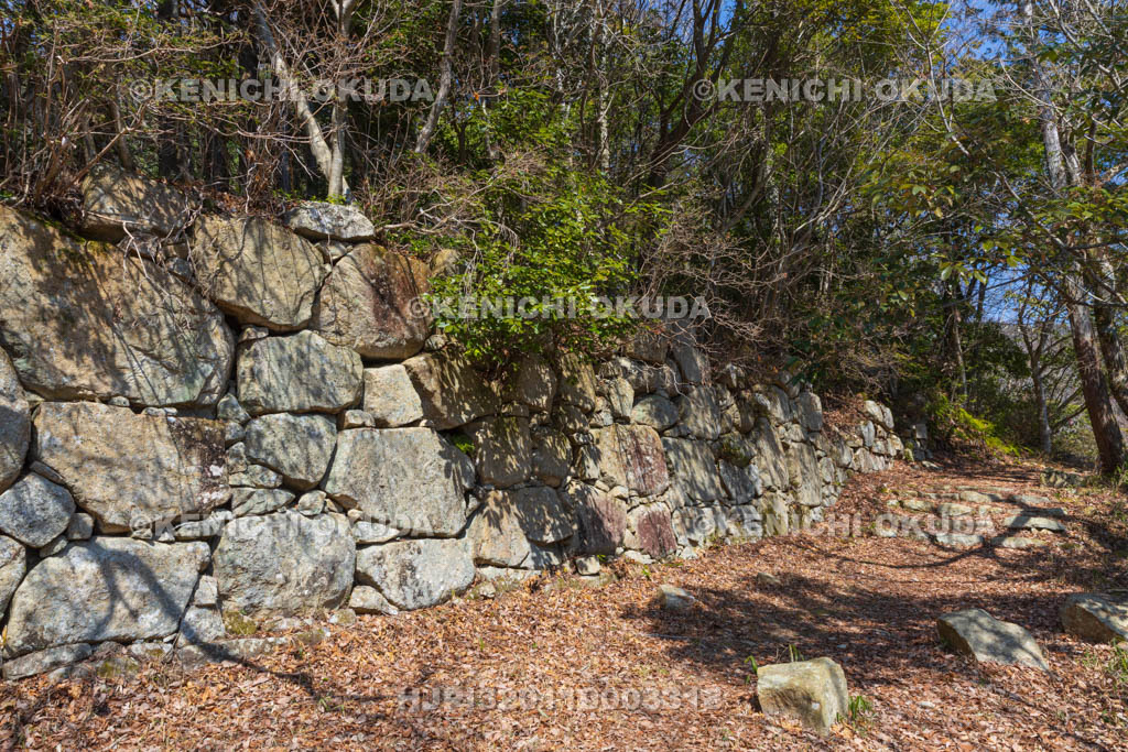 滋賀県　観音寺城跡　平井丸の石垣