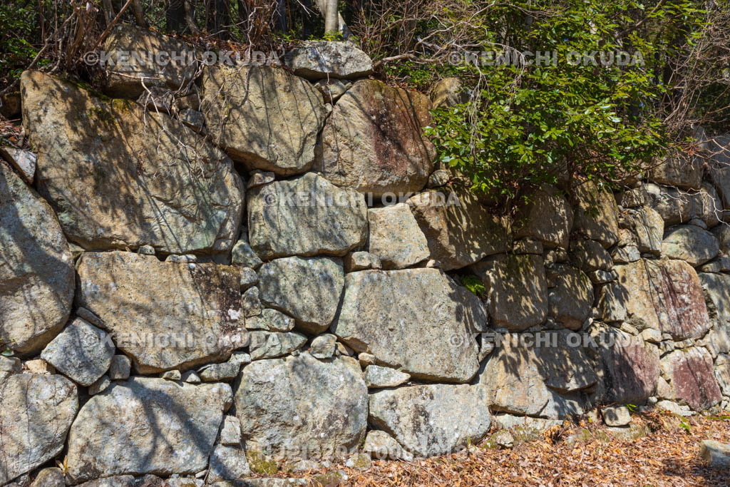 滋賀県　観音寺城跡　平井丸の石垣