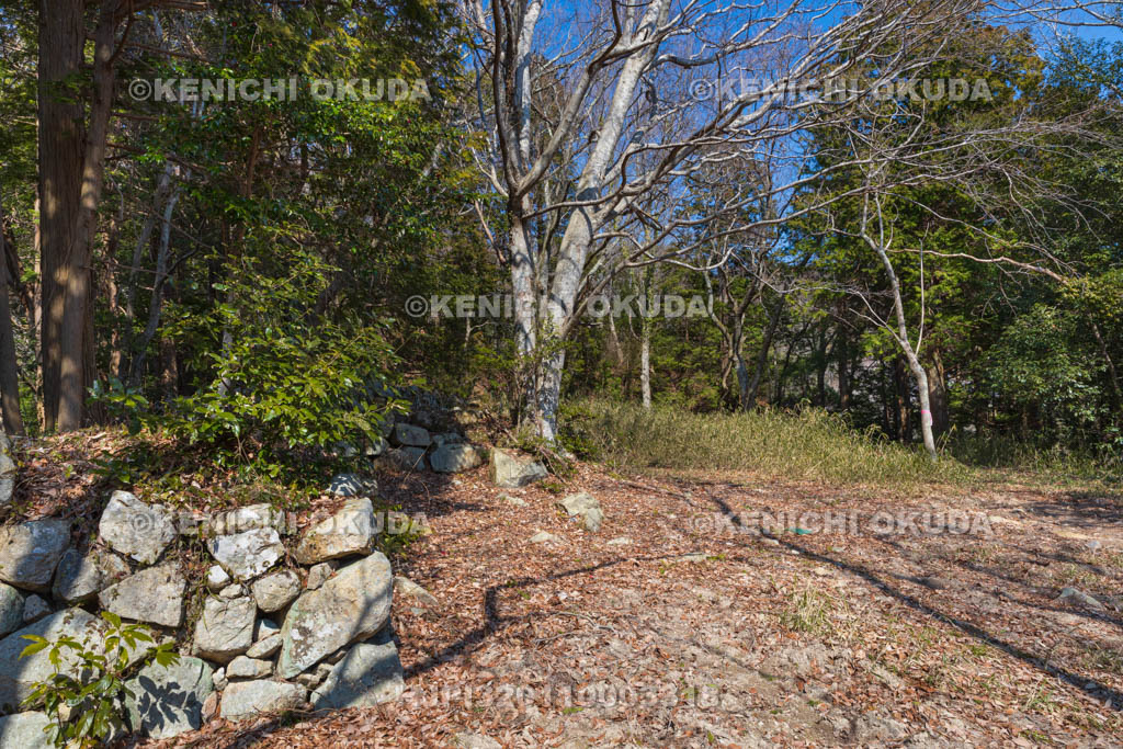 滋賀県　観音寺城跡　池田丸