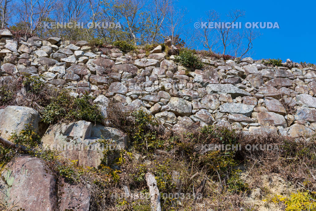 滋賀県　観音寺城跡　大石垣