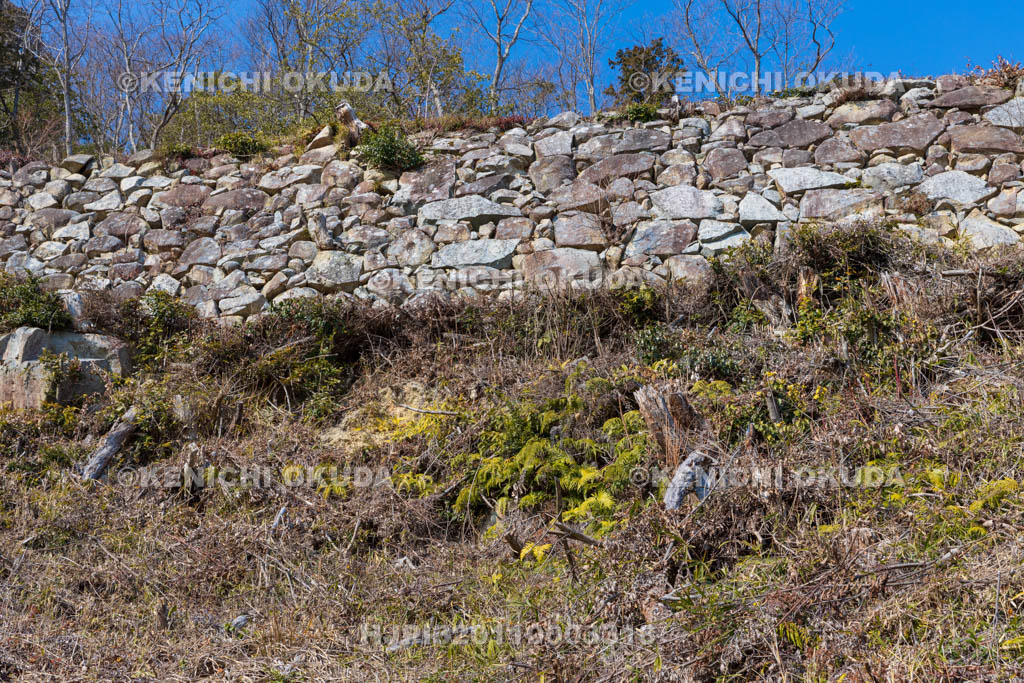 滋賀県　観音寺城跡　大石垣