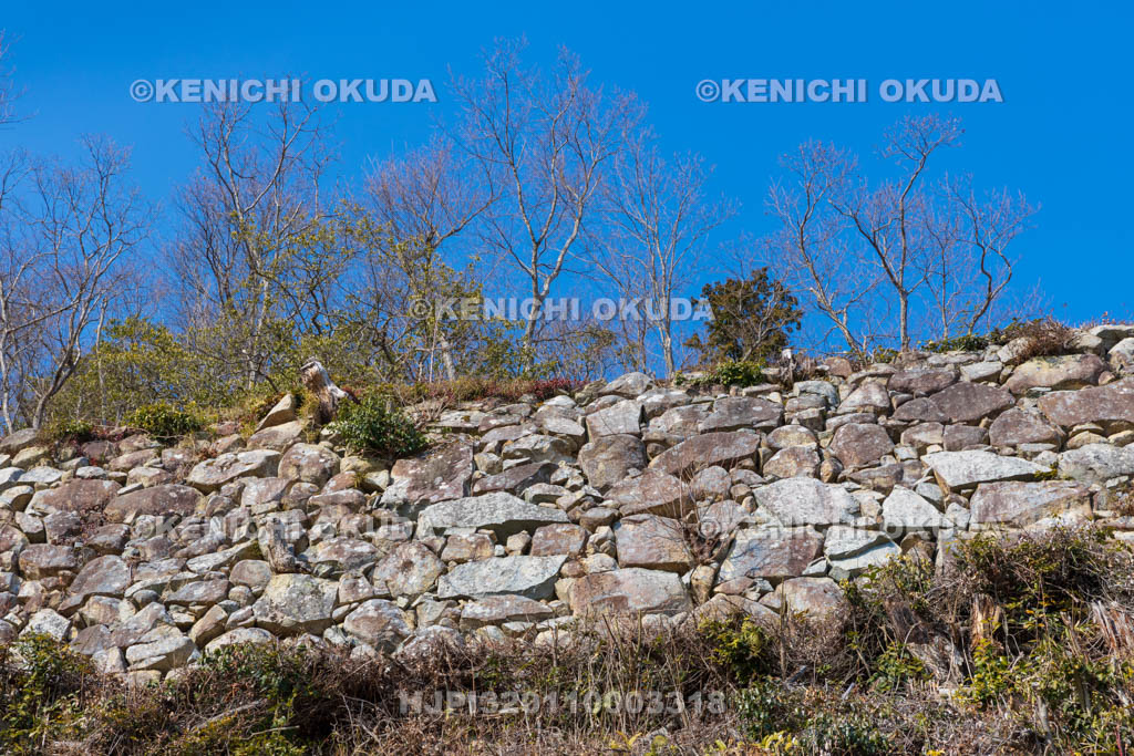 滋賀県　観音寺城跡　大石垣