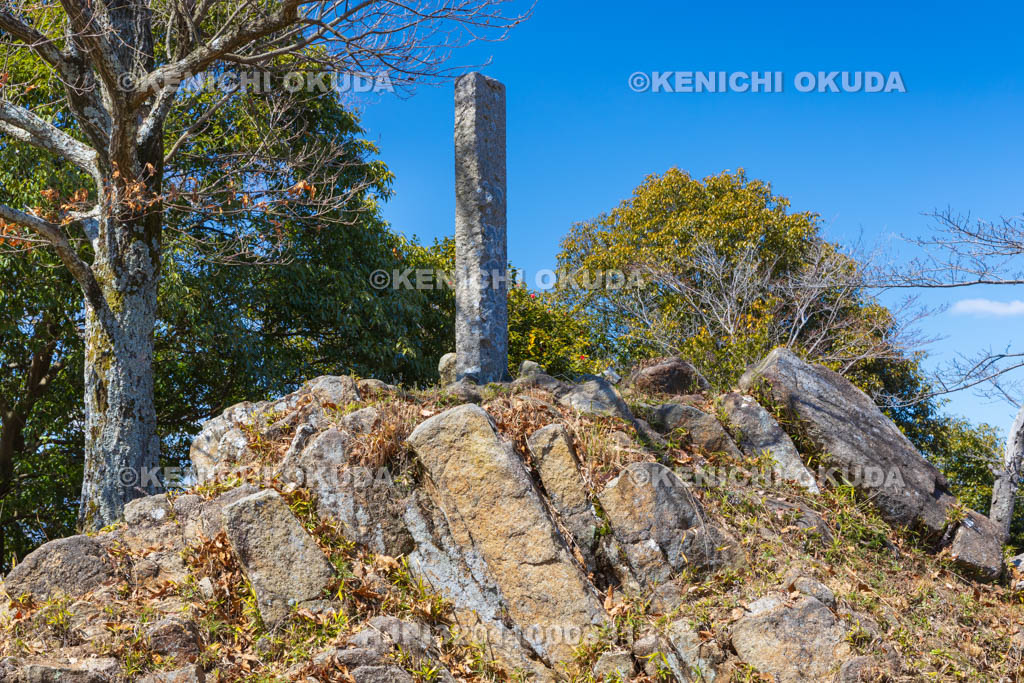 大阪府　飯盛山城跡　御体塚