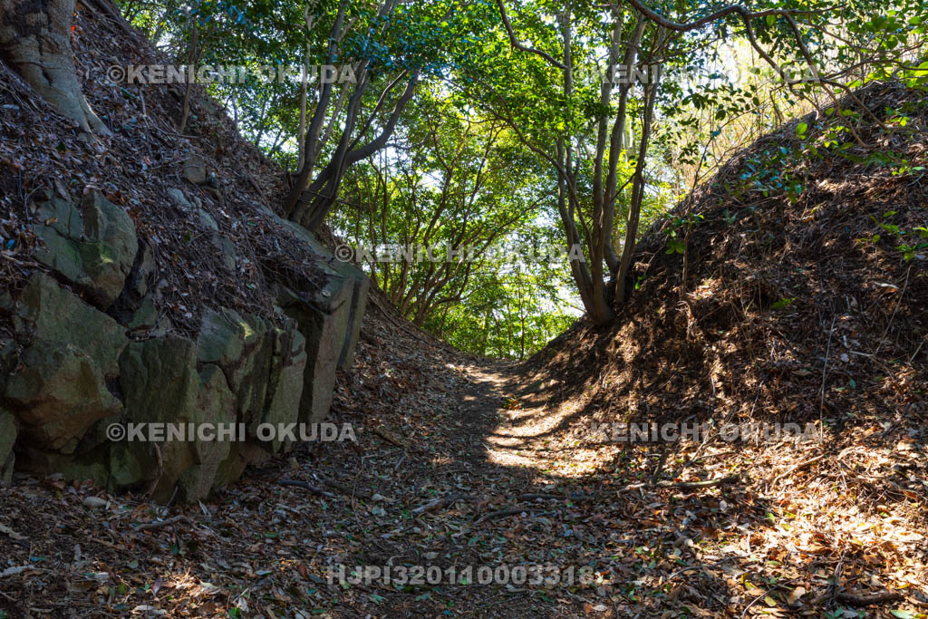 大阪府　飯盛山城跡　堀切（城跡北側）