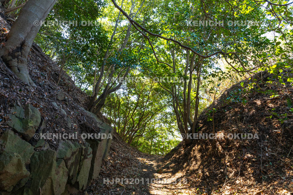 大阪府　飯盛山城跡　堀切（城跡北側）