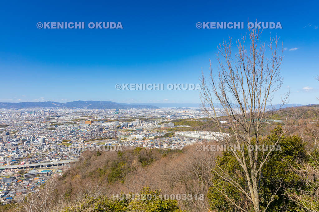 大阪府　飯盛山城跡　城跡北側からの眺望（南河内の市街地）