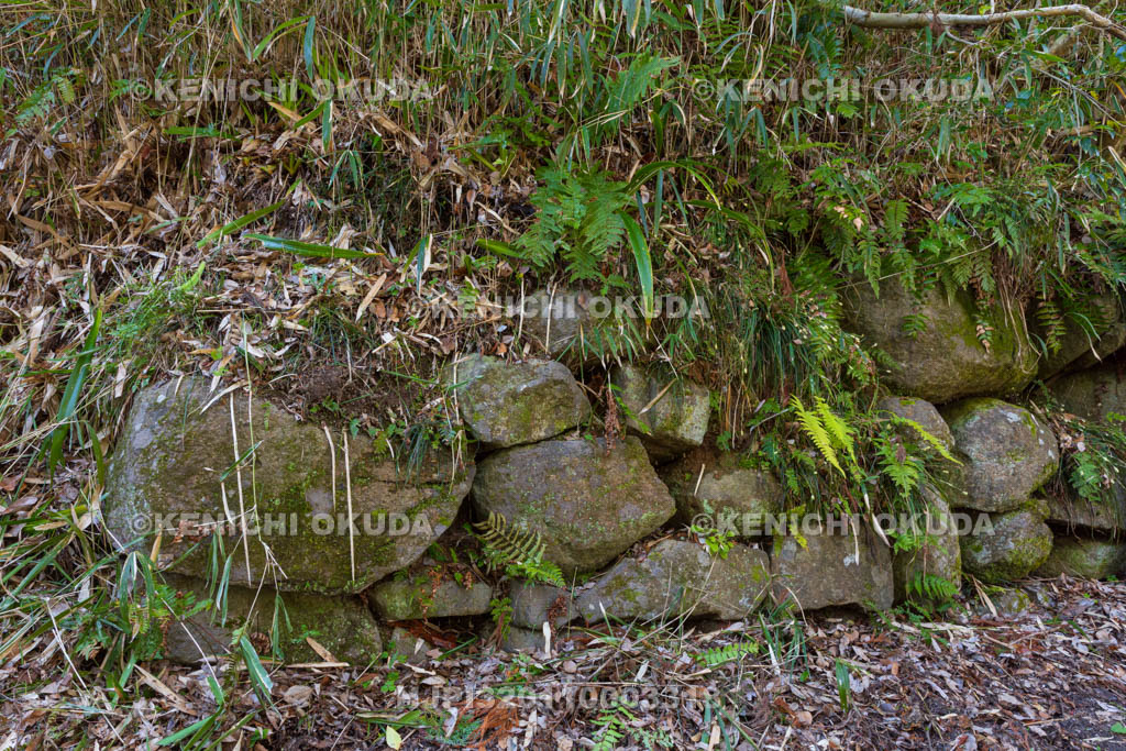 大阪府　飯盛山城跡　本郭東側の石垣