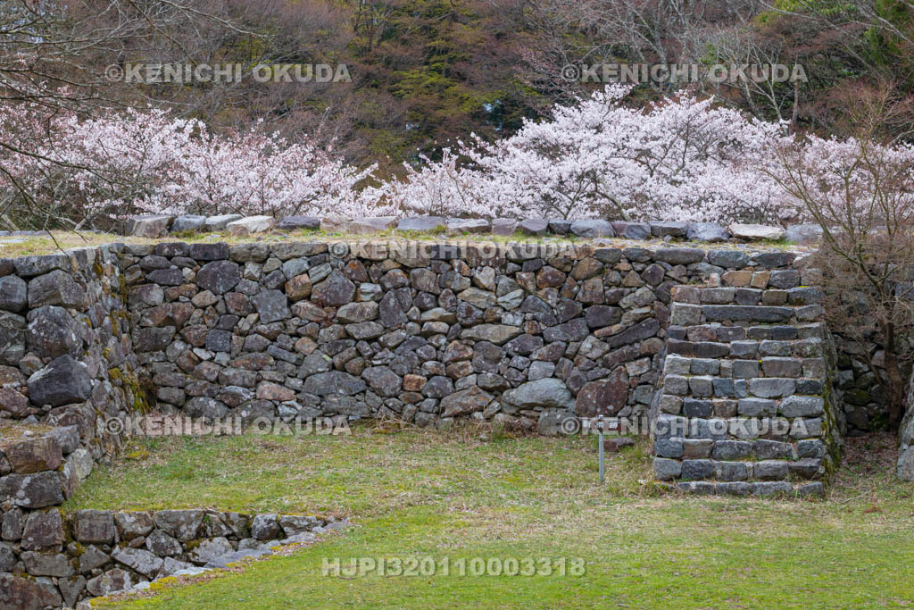 奈良県　高取城跡　桜と新櫓跡