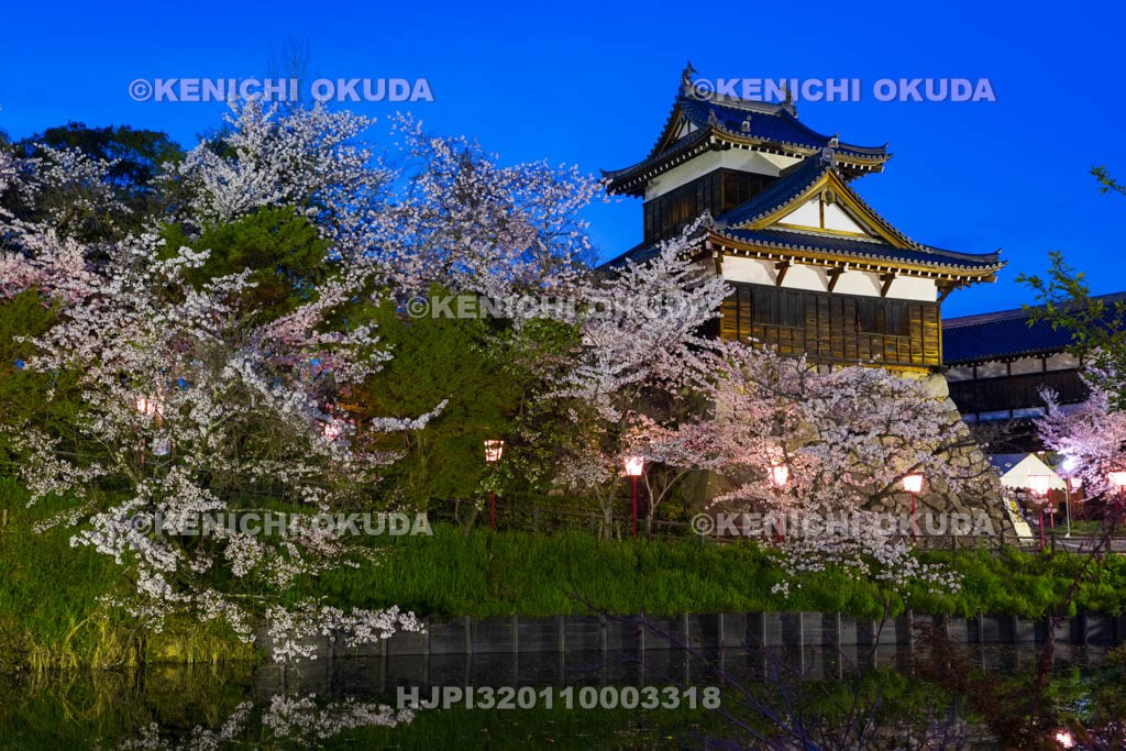 奈良県　大和郡山城　夜桜と追手向櫓