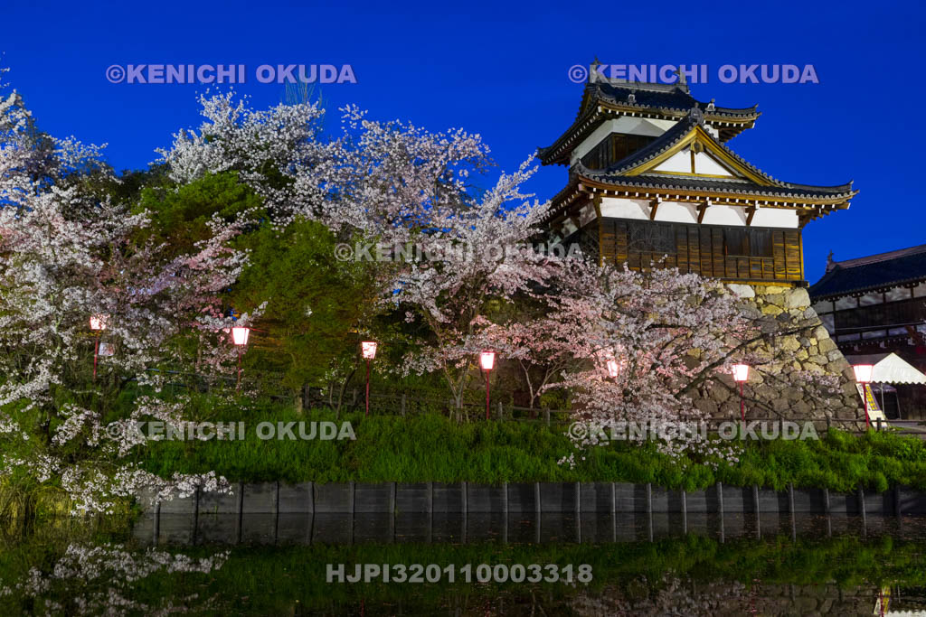 奈良県　大和郡山城　夜桜と追手向櫓