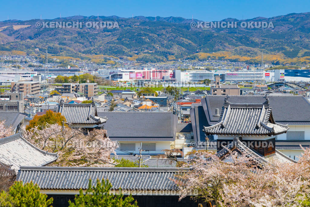 奈良県　桜の大和郡山城と大和郡山市街