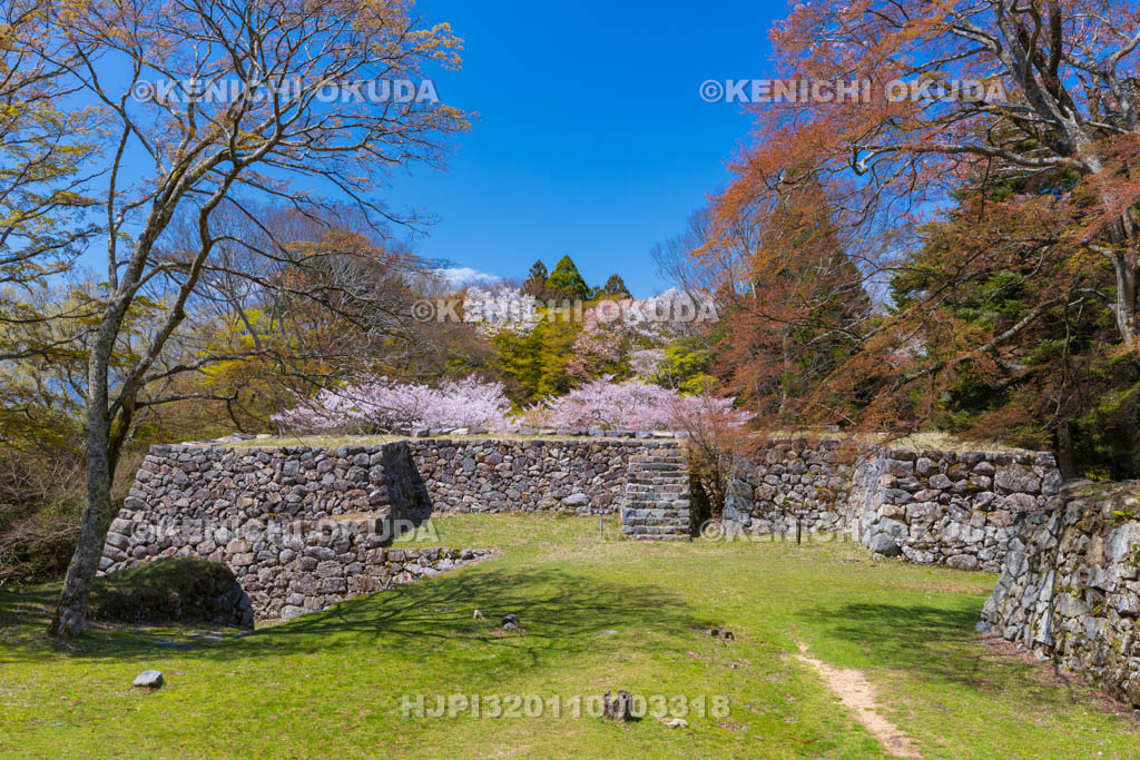 奈良県　高取城跡　桜と太鼓櫓・新櫓跡