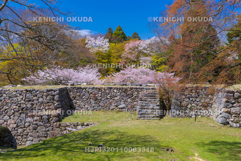 奈良県　高取城跡　桜と太鼓櫓・新櫓跡