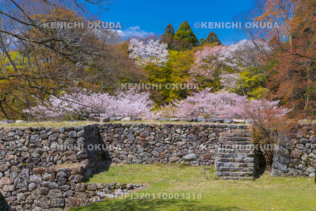 奈良県　高取城跡　桜と太鼓櫓・新櫓跡