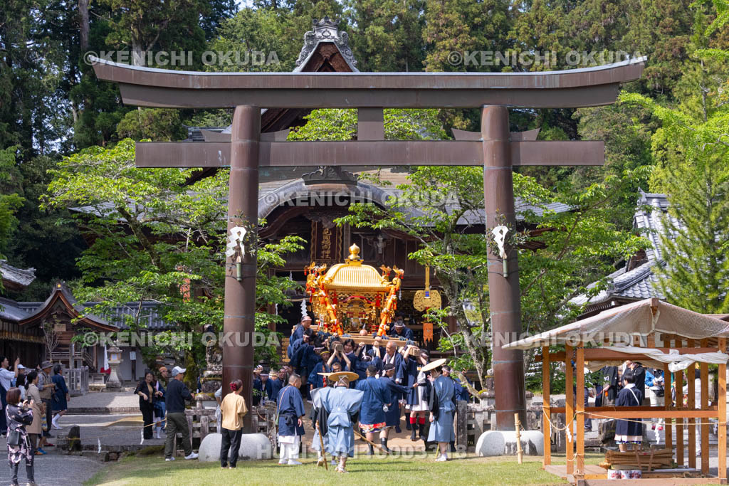 滋賀県　日野祭　宵祭（西之宮祭）　神輿渡御出発