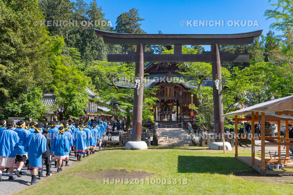 滋賀県　日野祭　本祭　神輿駕丁宮入