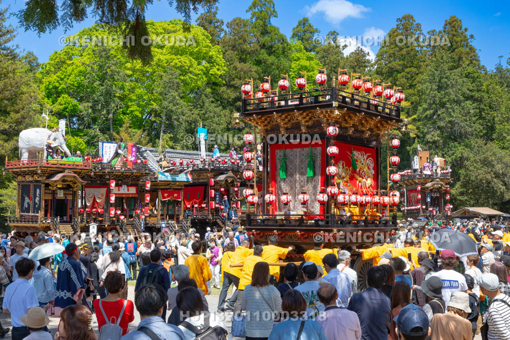 滋賀県　日野祭　本祭　今井町曳山（舞鶴社）宮入