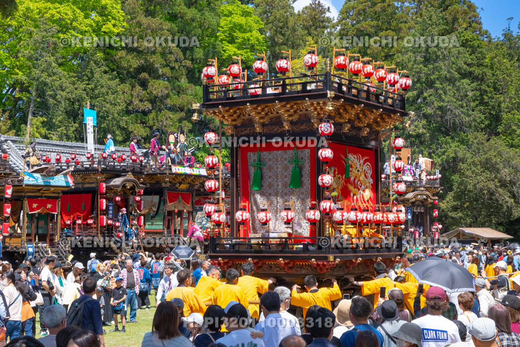 滋賀県　日野祭　本祭　今井町曳山（舞鶴社）宮入